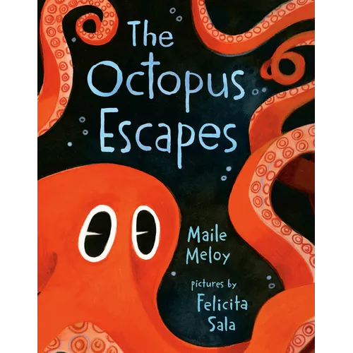 The Octopus Escapes
