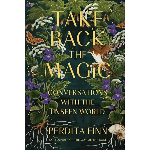 Take Back the Magic: Conversations with the Unseen World