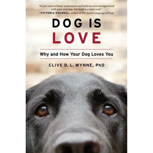 Dog Is Love: Why and How Your Dog Loves You