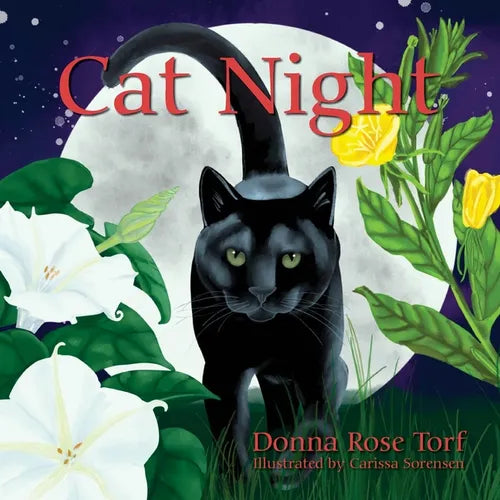 Cat Night