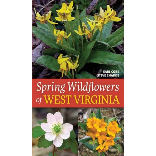 Spring Wildflowers of West Virginia
