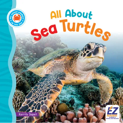 All about Sea Turtles