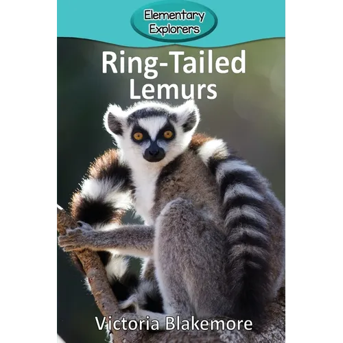 Ring-Tailed Lemurs