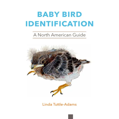 Baby Bird Identification: A North American Guide