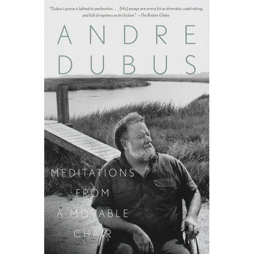 Meditations from a Movable Chair: Essays