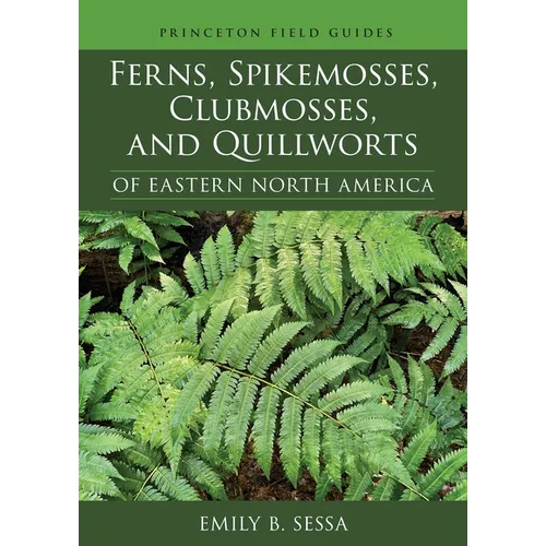 Ferns, Spikemosses, Clubmosses, and Quillworts of Eastern North America