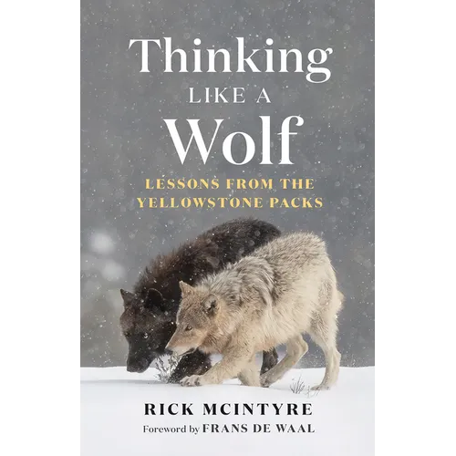 Thinking Like a Wolf: Lessons from the Yellowstone Packs