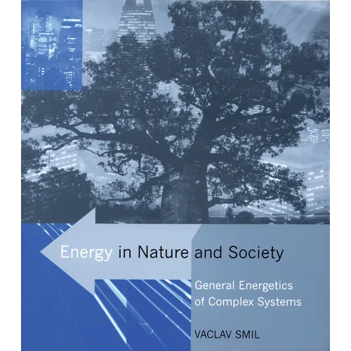 Energy in Nature and Society: General Energetics of Complex Systems