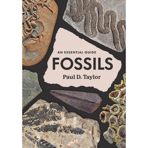 Fossils: An Essential Guide