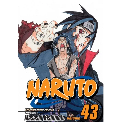 Naruto, Vol. 43: The Man with the Truth