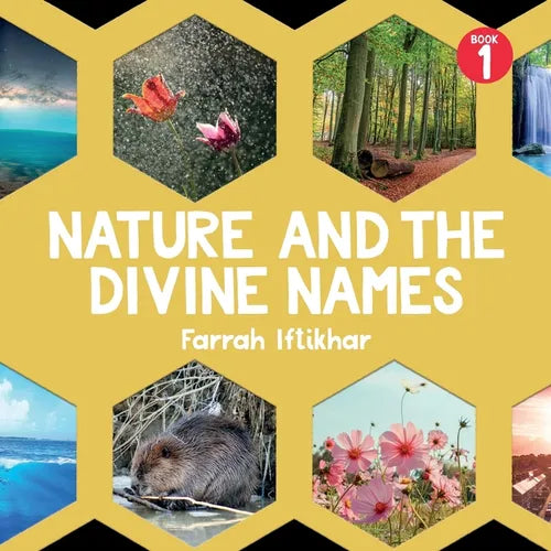 Nature and the Divine Names