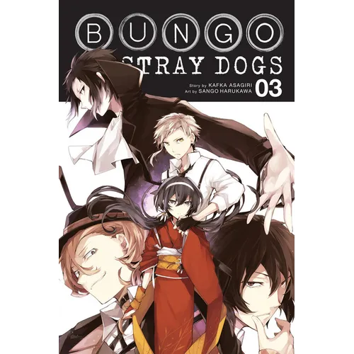 Bungo Stray Dogs, Vol. 3