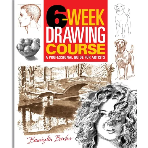 6-Week Drawing Course: A Professional Guide for Artists